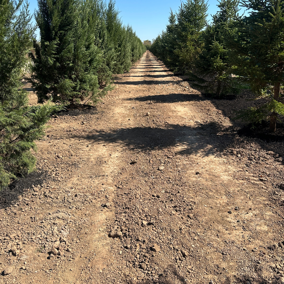 Completed commercial planting and grading work