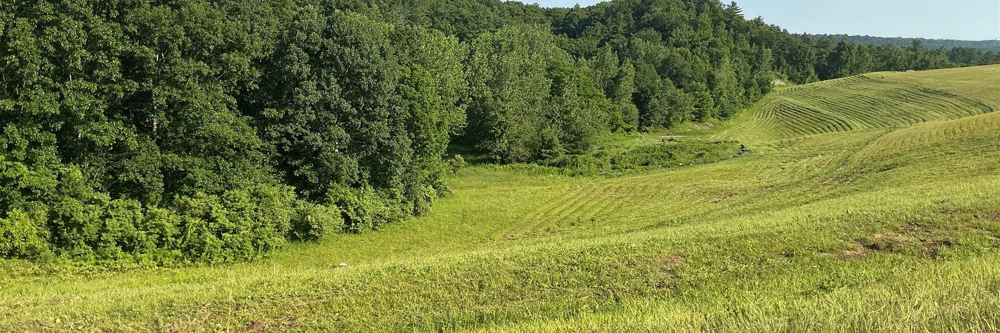 Rolling hillside mowed in even passes