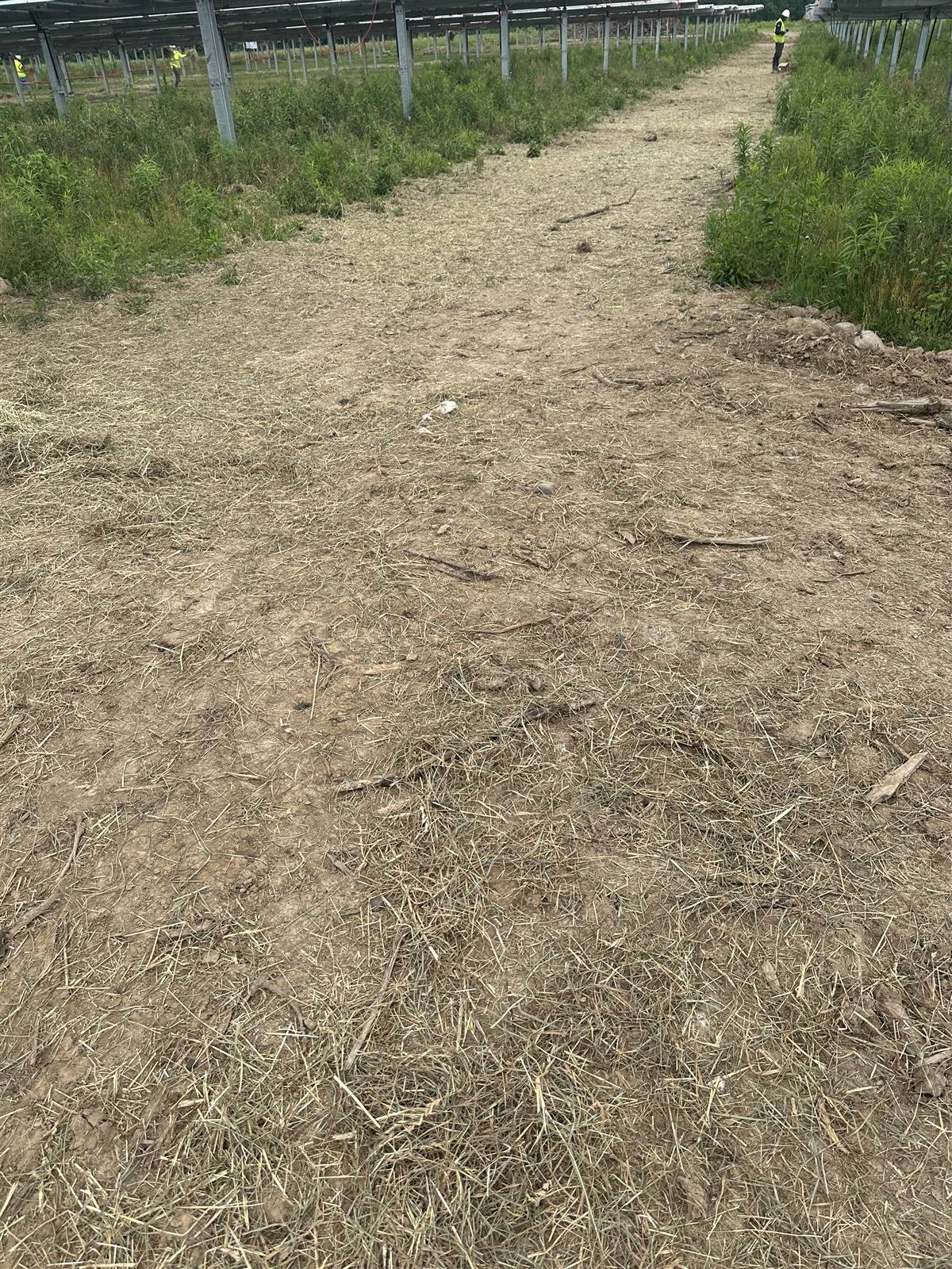 Mulched track running between solar array rows