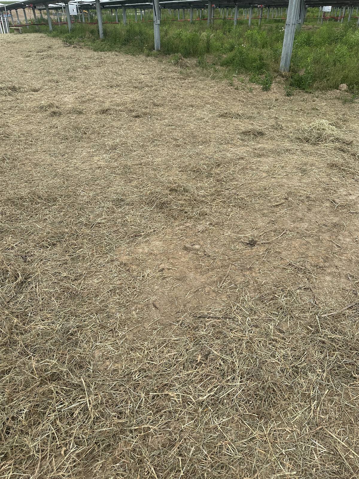 Raked ground between solar array rows