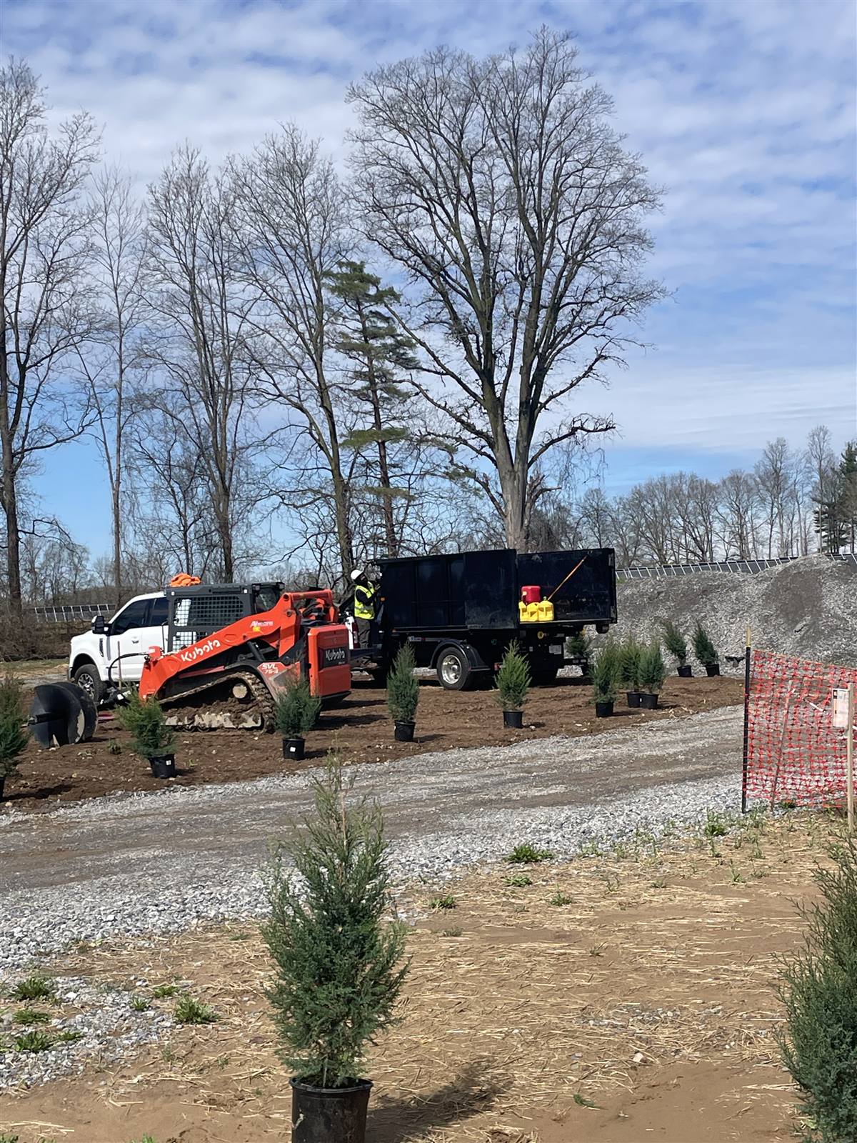 Skid steer and dump truck staging evergreens at the planting site