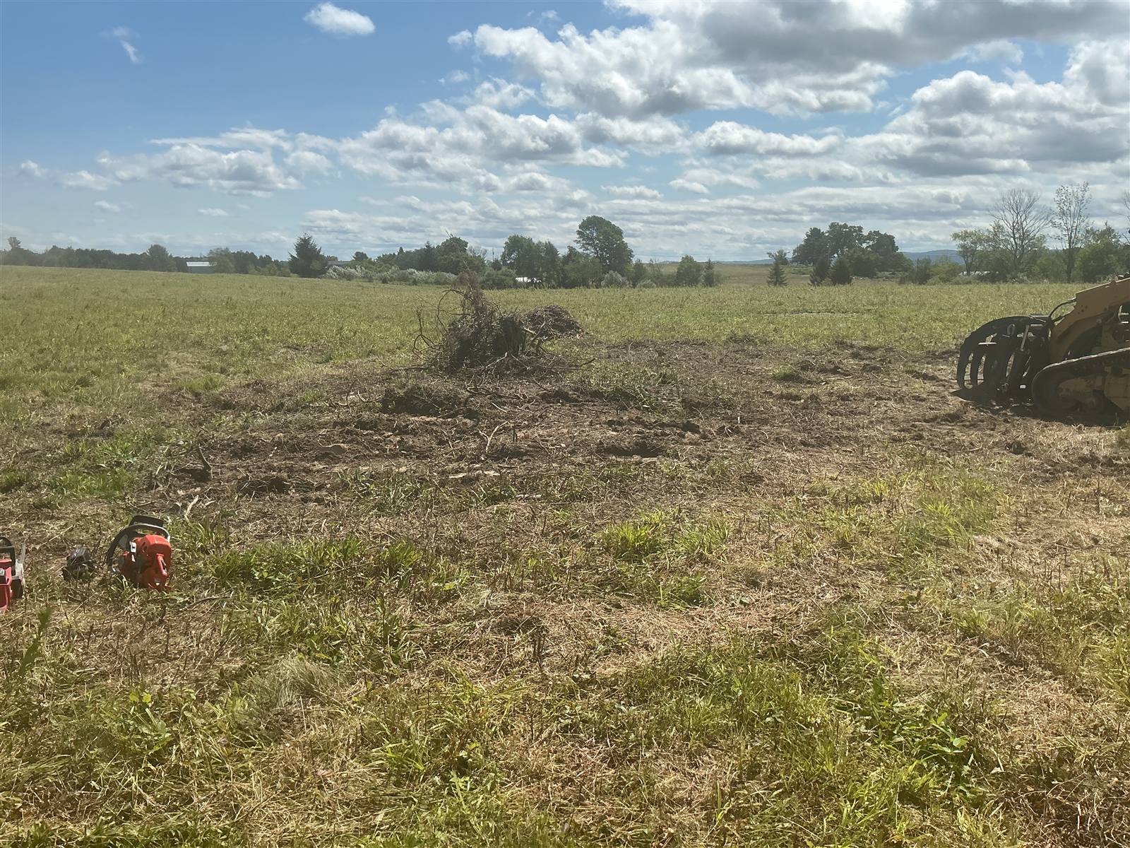 Cleared and chipped ground after brush removal