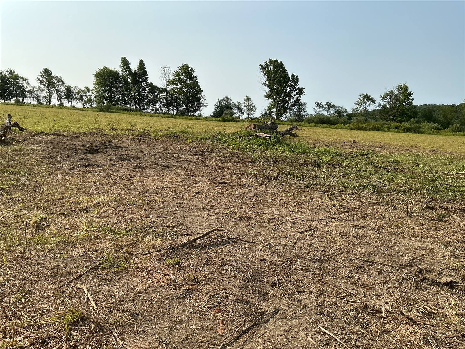 Large open parcel after brush clearing