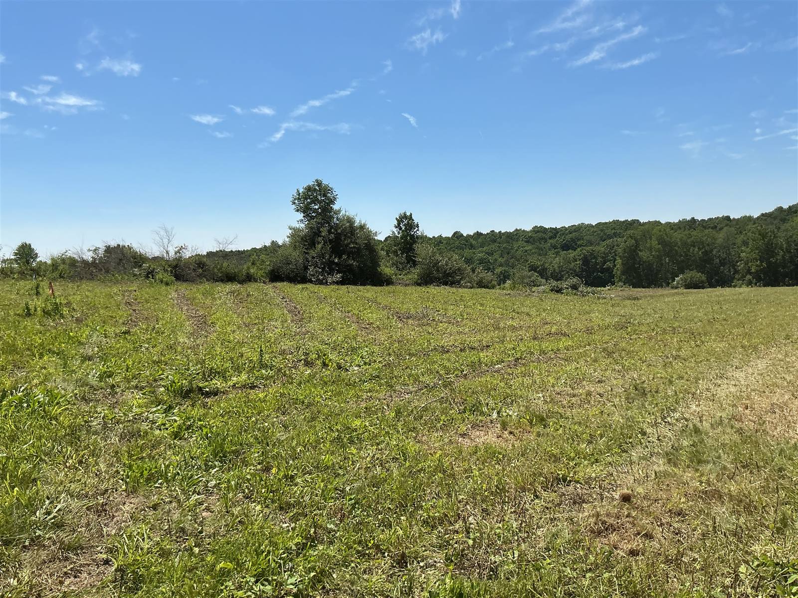 Freshly mowed field ahead of solar construction