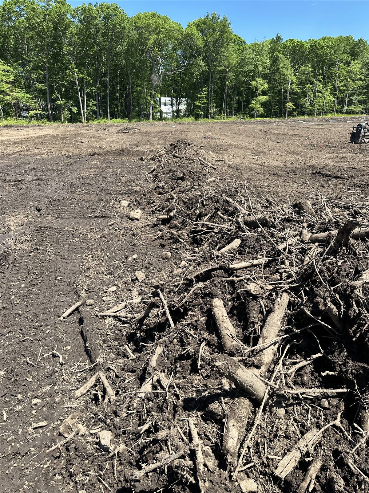 Brush and stump piles on freshly cleared land