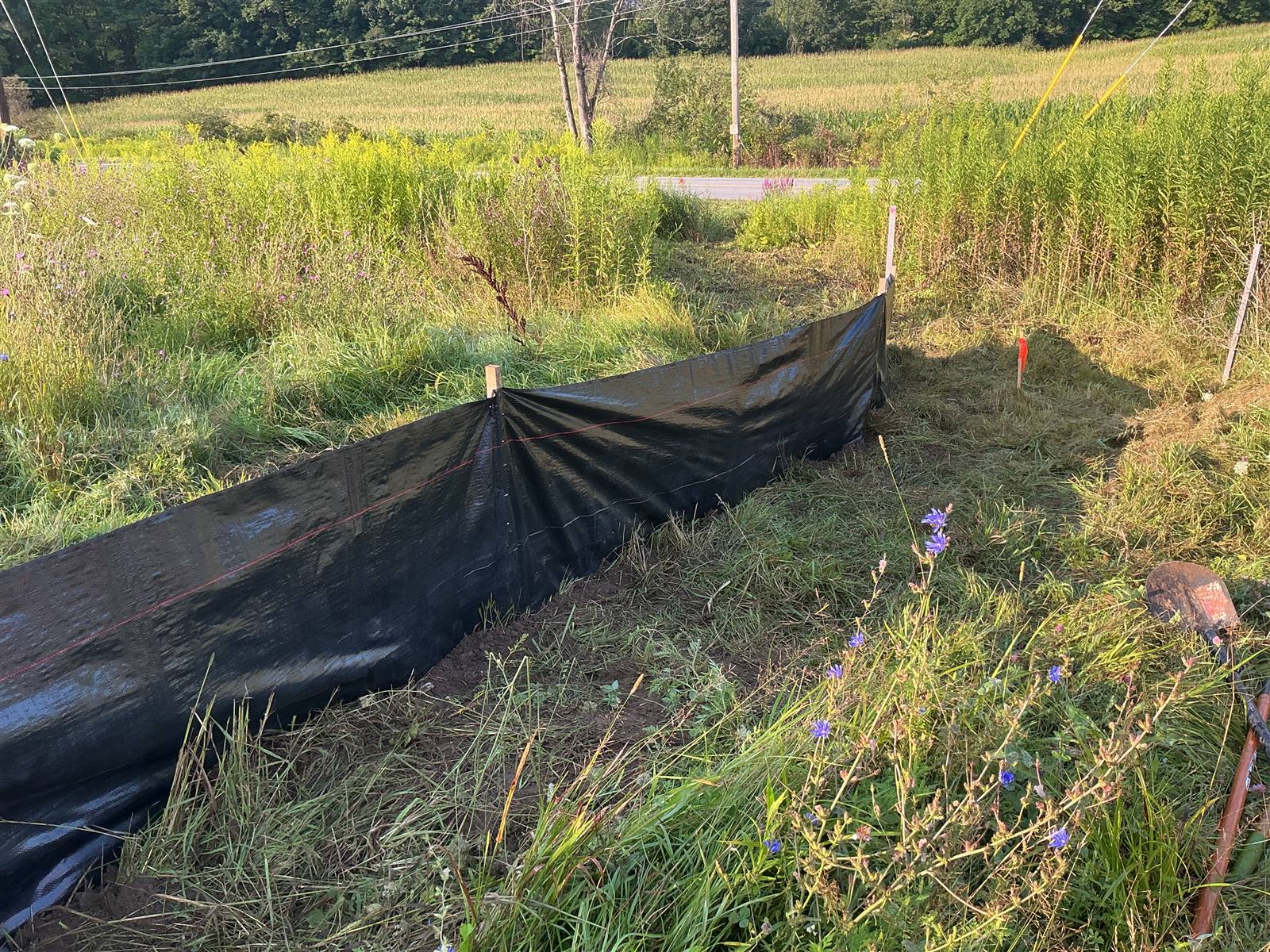 Black silt fence along a vegetated drainage edge