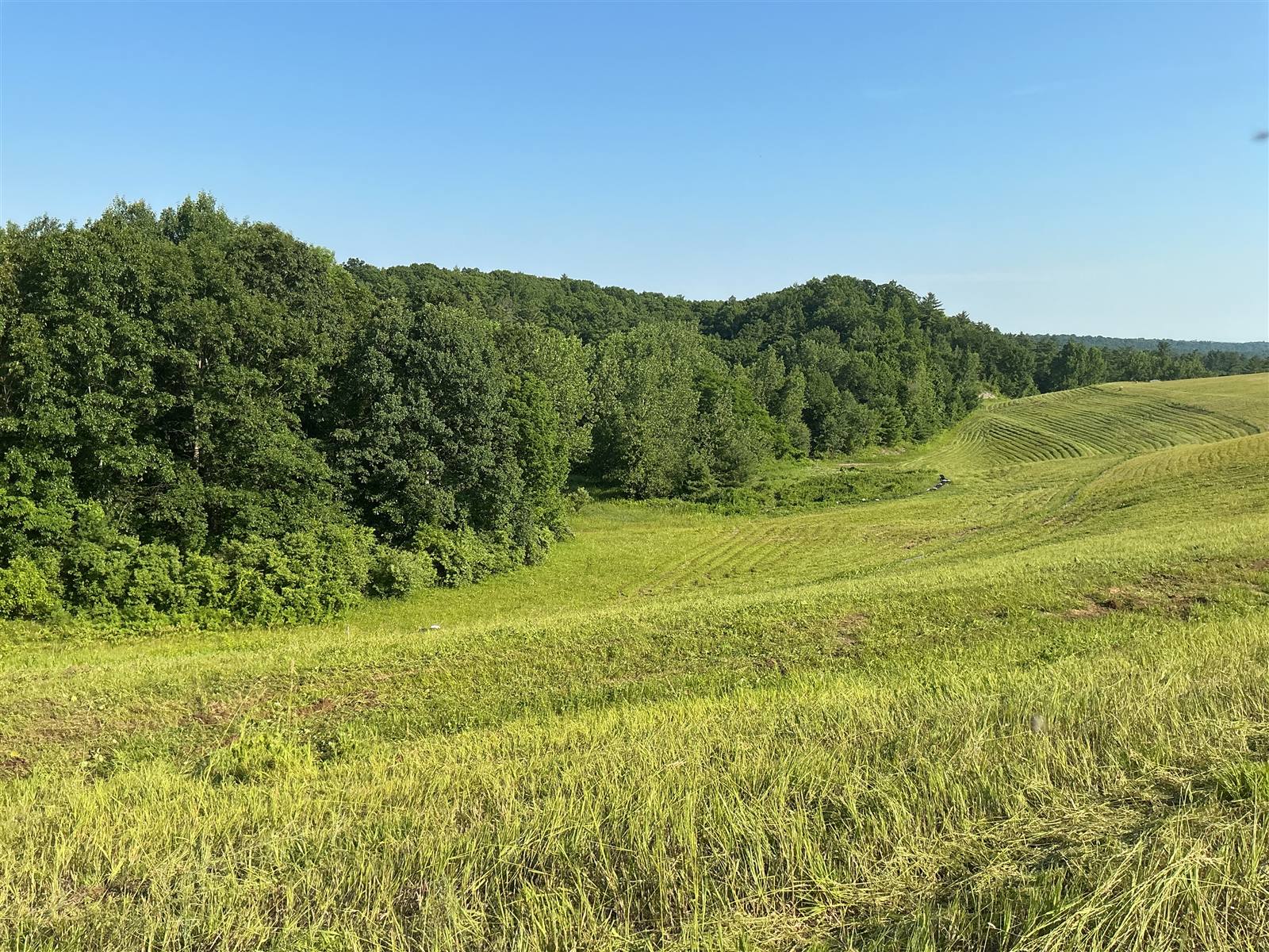 Rolling hillside mowed in even passes