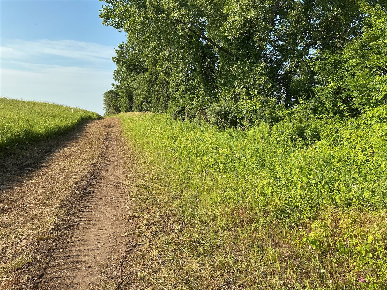 Mown access track running along a grass-covered slope