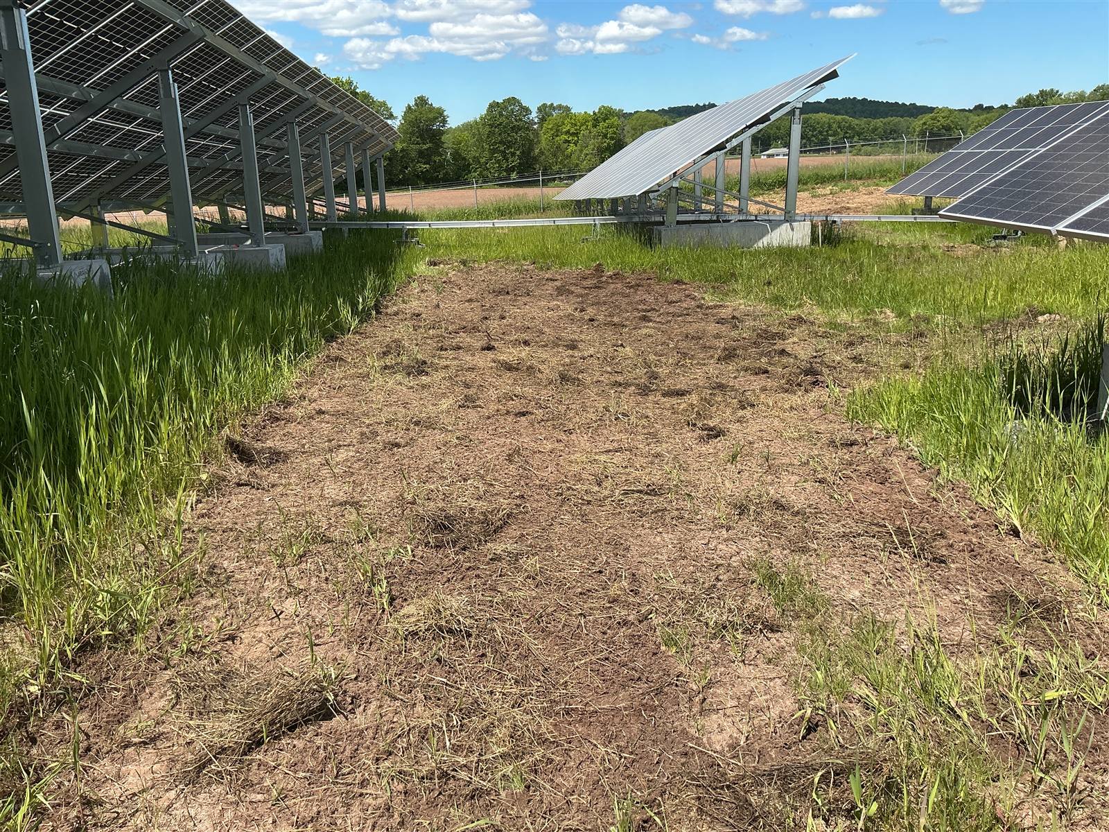 Raked and seeded ground running between solar array rows