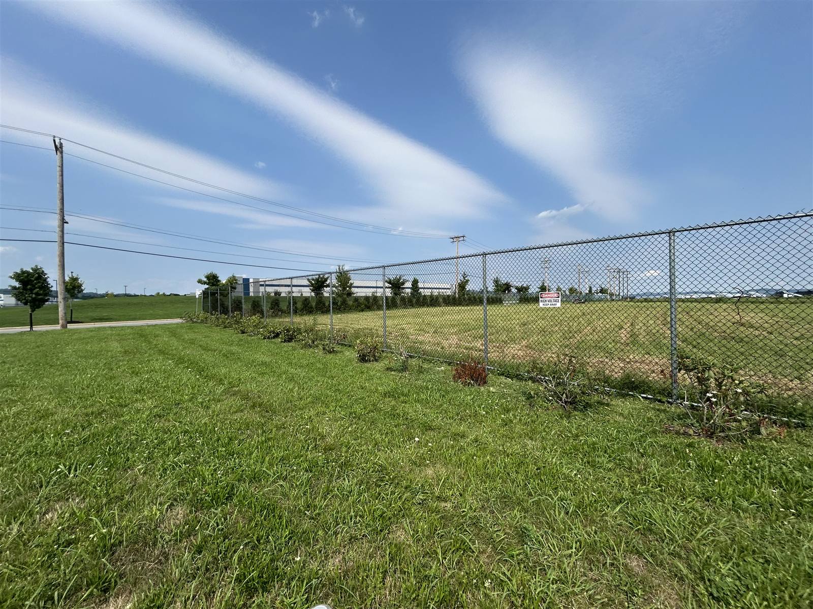 Mowed fence line with young trees