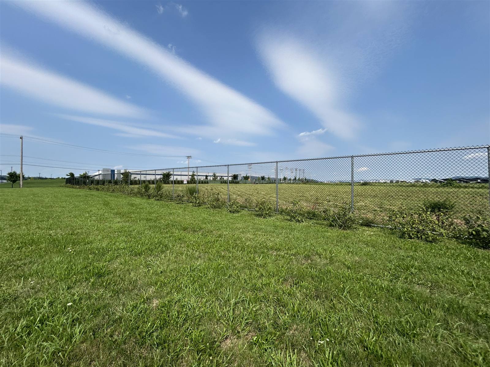 Mowed grass along a chain-link fence line